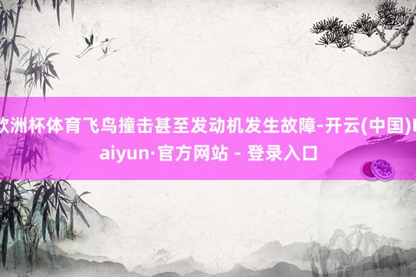 欧洲杯体育飞鸟撞击甚至发动机发生故障-开云(中国)Kaiyun·官方网站 - 登录入口