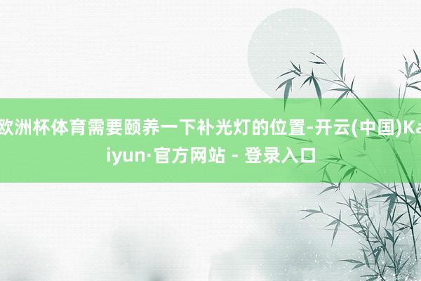欧洲杯体育需要颐养一下补光灯的位置-开云(中国)Kaiyun·官方网站 - 登录入口