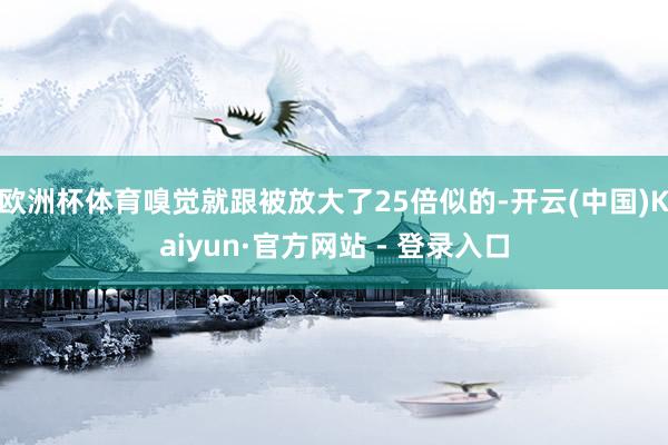 欧洲杯体育嗅觉就跟被放大了25倍似的-开云(中国)Kaiyun·官方网站 - 登录入口