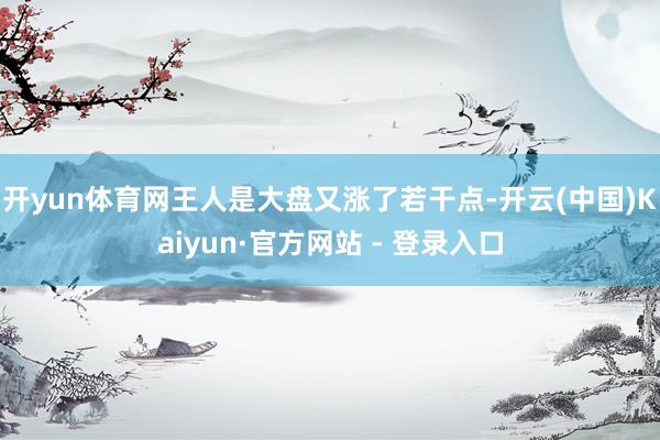 开yun体育网王人是大盘又涨了若干点-开云(中国)Kaiyun·官方网站 - 登录入口