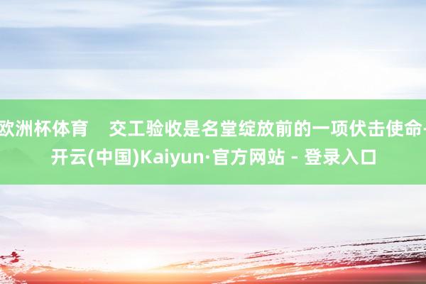 欧洲杯体育    交工验收是名堂绽放前的一项伏击使命-开云(中国)Kaiyun·官方网站 - 登录入口